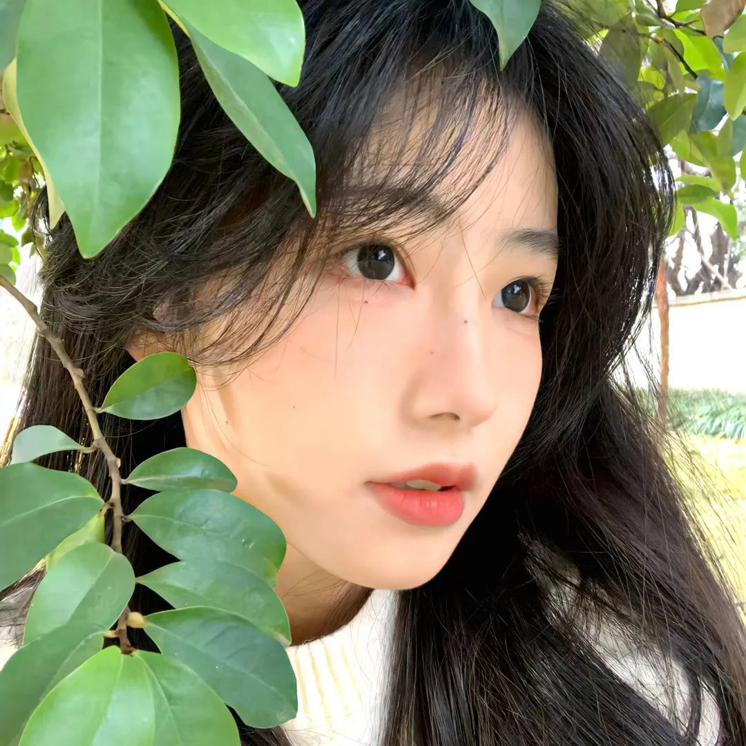 伟大圣心 海报